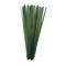 Ivory and Iris; 39" Dried Plant Sticks Natural Foliage With Slender Stems; Category:Dried Floral; Image:5